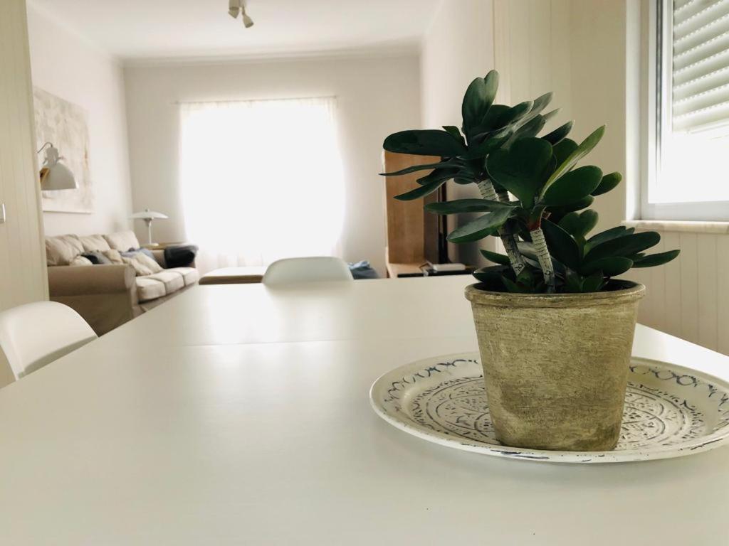 Appartement Apartamento espaçoso e confortável no centro do Montijo Extérieur photo